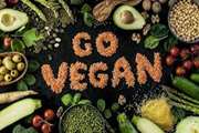 The impact of vegetarian diet on sperm quality, sex hormone levels and fertility: a systematic review and meta-analysis