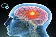 Assessment of the initial results of pituitary tumor registry at a tertiary hospital of Iran: 2009–2022
