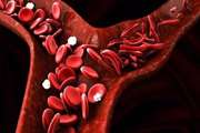 How Age, Sex and Transfusion Affects the Incidence of Endocrine and Bone Density Disorders in Major Thalassemic Patients