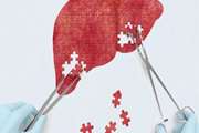 Associations between circulating amino acids and hepatic steatosis indices in Iranian adults aged over 50: findings from the Bushehr elderly health BEH program