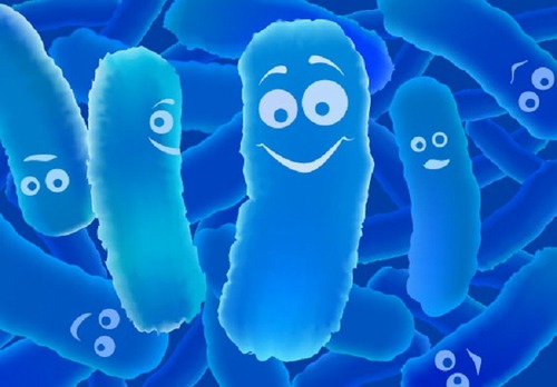 Probiotics and Synbiotics Supplementation Reduce Inflammatory Cytokines in Individuals with Prediabetes and Type 2 Diabetes Mellitus Findings from a Systematic Review Meta Analysis