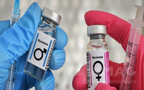 Amino acid profiles aging and sex hormone interactions in the elderly Iranian population a metabolomics study