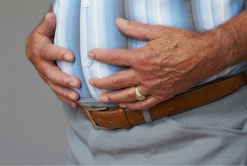 	Exploring the gut microbiota alterations with obesity in older adults: a case-control study in the context of Bushehr Elderly Health (BEH) program